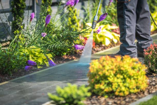Professional Pressure Washing Services in Baytown, TX